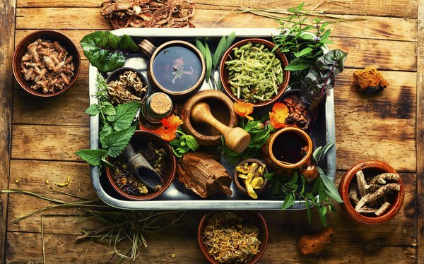 L'exploitation du chanvre de la fleur aux produits finis