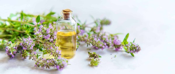 Aromathérapie au quotidien : intégrer les huiles essentielles dans votre Vie