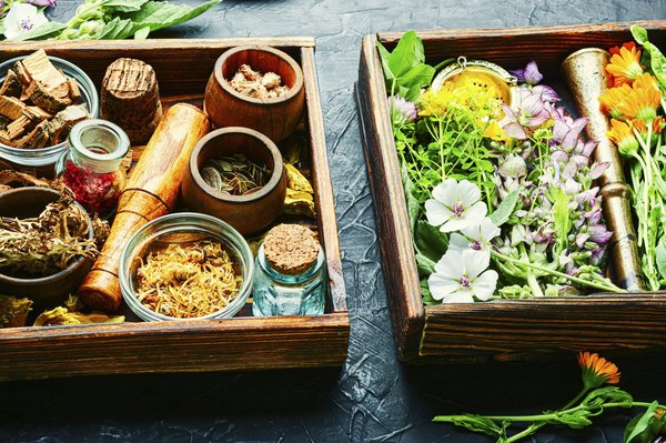 Pourquoi utiliser des plantes médicinales?