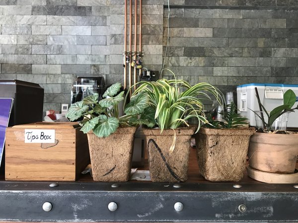 Comment choisir son porte plante quand on a une petite pièce ?