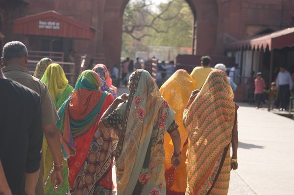 Visiter l'Inde : Guide ultime pour explorer ses trésors culturels et panoramas époustouflants